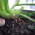 289903_20180108121618_01.JPG