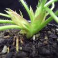 289904_20171218215257_01.JPG