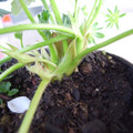 289904_20171219114020_01.JPG