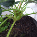 289904_20180108123439_01.JPG