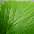 379909_20180111113121_01.JPG