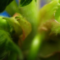 379909_20180111113227_01.JPG