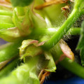 379909_20180115141327_01.JPG