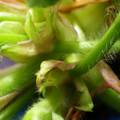 379909_20180115141333_01.JPG