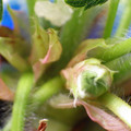 379909_20180119161511_01.JPG