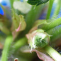 379909_20180119161519_01.JPG