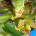 379909_20180124134610_01.JPG