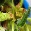379909_20180124134625_01.JPG