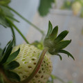 042004_20180308111701_04.JPG