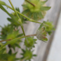 042004_20180308113924_01.JPG