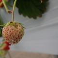 042004_20180308113934_05.JPG