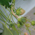 042004_20180308125257_02.JPG