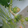 042004_20180308125257_03.JPG