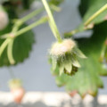 042006_20180419122023_04.JPG