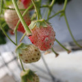 042006_20180419122311_02.JPG
