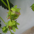049901_20171204121724_01.JPG