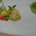 049901_20171222133012_01.JPG