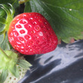 090009_20190304142947_01.JPG
