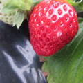 090009_20190304142954_01.JPG