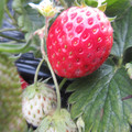 090009_20190304144830_01.JPG