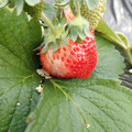 090009_20190310134249_01.JPG