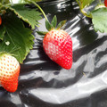 090009_20190310134454_01.JPG