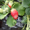 090009_20190310134533_01.JPG