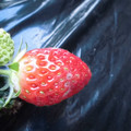 090029_20190205093227_01.JPG