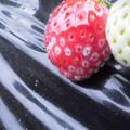 090029_20190228152422_01.JPG