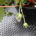 229902_20180109094238_01.JPG