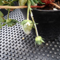 229902_20180109094241_01.JPG