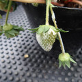 229902_20180109094245_01.JPG