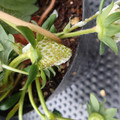 229902_20180109094248_01.JPG
