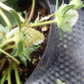 229902_20180109094253_01.JPG