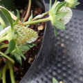229902_20180109094255_01.JPG