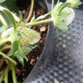 229902_20180109094256_01.JPG
