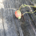 280001_20180509102718_01.JPG