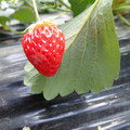 280001_20180509102807_01.JPG