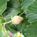 280001_20180509102828_01.JPG