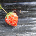 280001_20180509102921_01.JPG