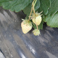 280001_20180509103257_01.JPG