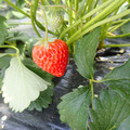 280001_20180509113629_01.JPG