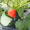 280001_20180509113630_01.JPG