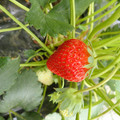 280001_20180516095059_01.JPG