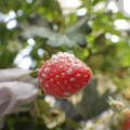 370060_20180501153027_01.JPG
