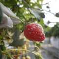 370060_20180501153033_01.JPG