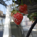 370060_20180501153053_01.JPG