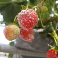 370060_20180501153059_01.JPG