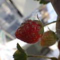 370060_20180501153113_01.JPG