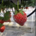 370060_20180501153206_01.JPG